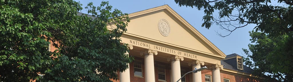 Watchdog files FOIA lawsuit against NIH over alleged funding of beagle experiments